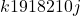 k1918210j